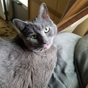 Meet your Posher, Abby